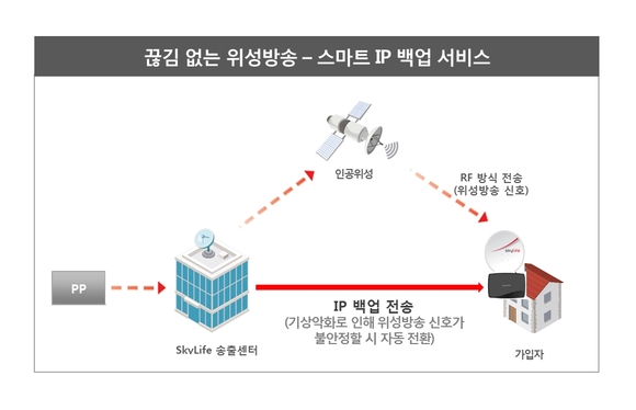 KT스카이라이프 '스마트 IP 백업' 서비스 개념도. KT스카이라이프 제공.