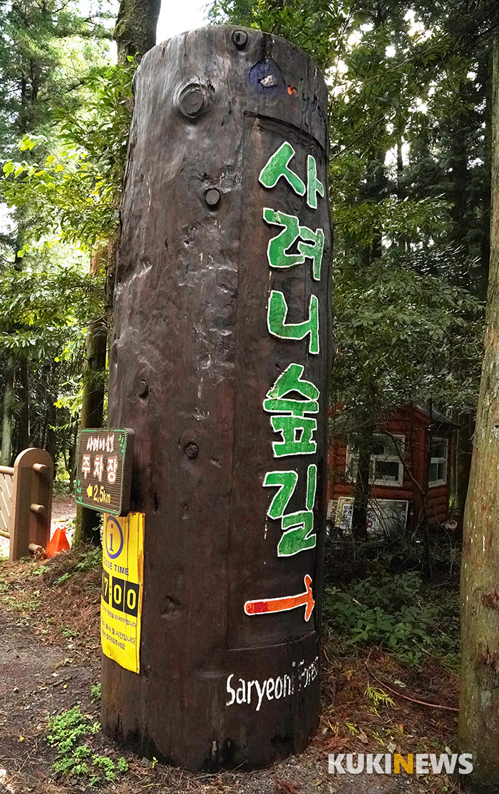 제주시 조천읍 봉개동 (비자림로)의 사려니숲길 입구엔 주차장이 없다. 단순히 사려니숲길 주차장을 검색해서 찾아가면 이곳 입구에서 2.5 킬로미터 떨어진 ‘사려니숲길주차장’에 도착한다. 이곳에 주차를 하고 조릿대숲길을 걸어 사려니숲길 입구에 서게 된다. 시간이 충분하다면 조릿대숲길은 충분히 걸을 만한 가치 있는 호젓한 숲길이다.