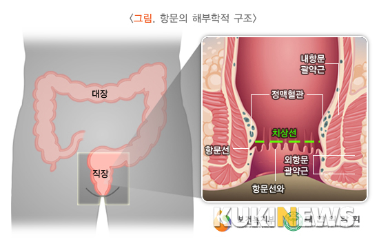 그림=국민건강정보포탈